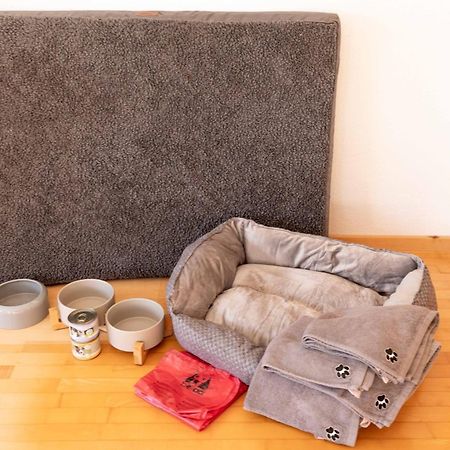Haus Theresia Ruef Au (Vorarlberg) 외부 사진